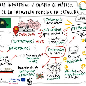 Graphic Recording - WWW - Industria Porcina Cataluña