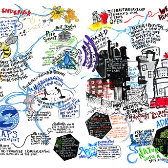 MAPS psychedelic science summit - synthesis 2019